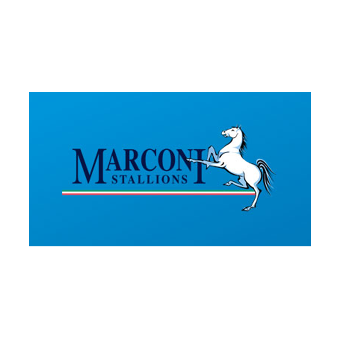 Marconi Stallions FC Banner